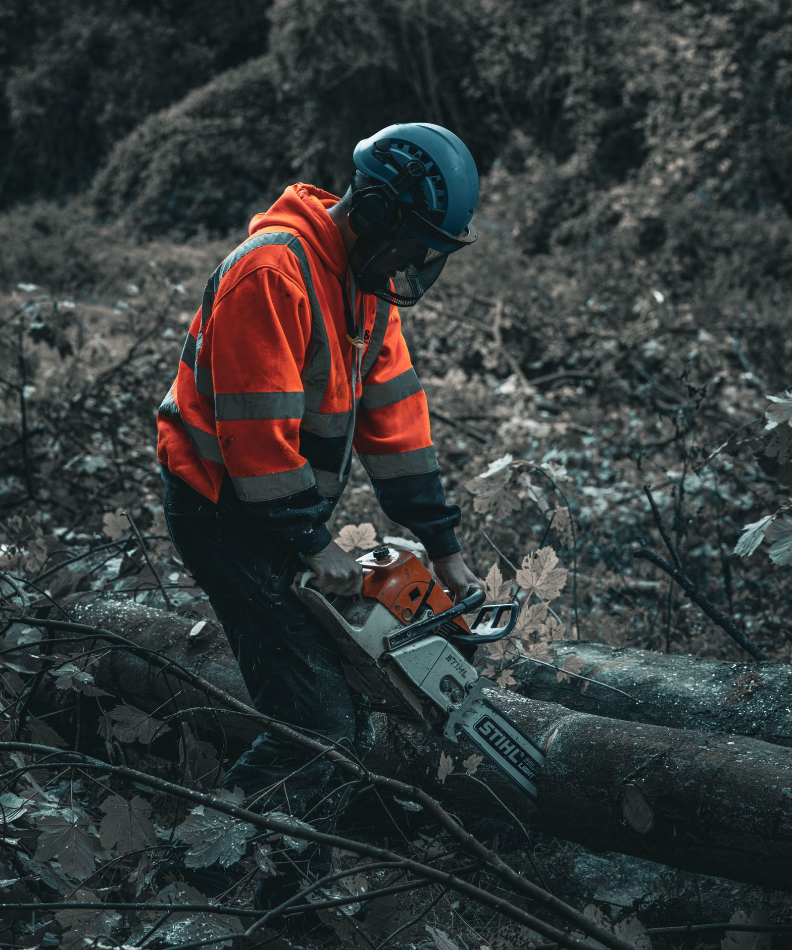 Arborist in full PPE cross-cutting felled timber with a chainsaw